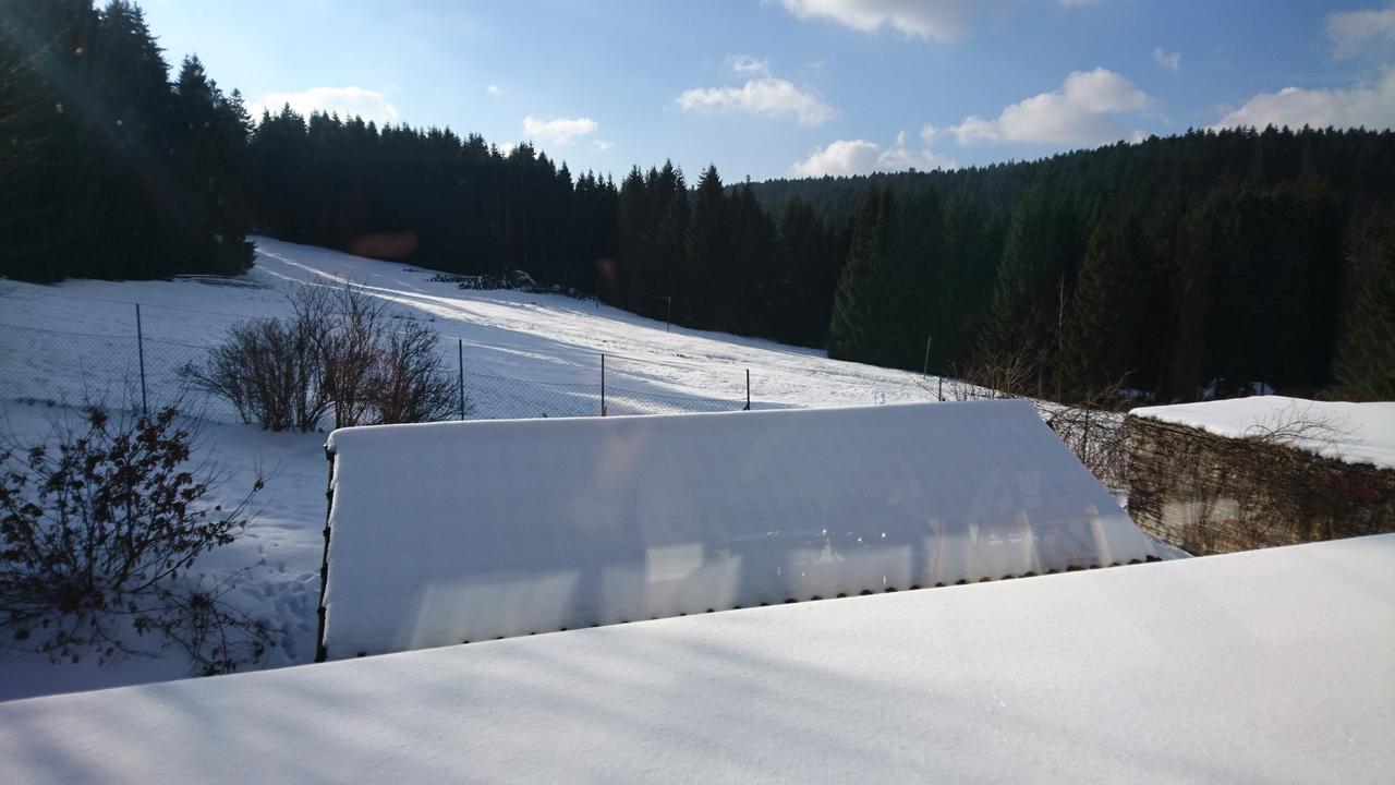 Quellenhof Altenau Altenau (Lower-Saxony) Exterior foto